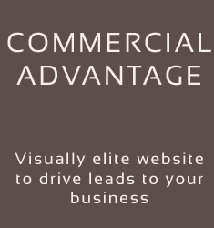 commercial-advantage-website-button