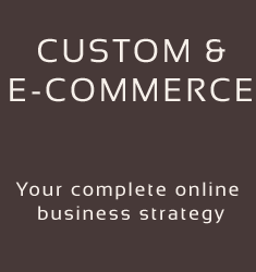 custom-website-button